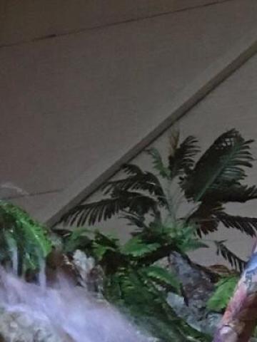 Татьяна Дискретно Реал фото 2